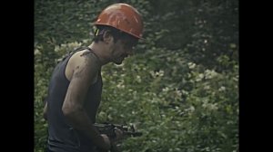 Отошли от машины