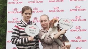 Яркие моменты фестиваля «Собаки в городе» 2017 года