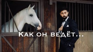 Ведущий на свадьбу / свадебный ведущий
