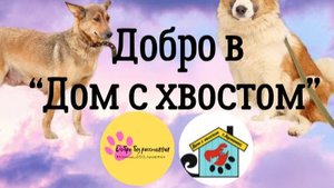 Дом с хвостом (часть 2) 2025г