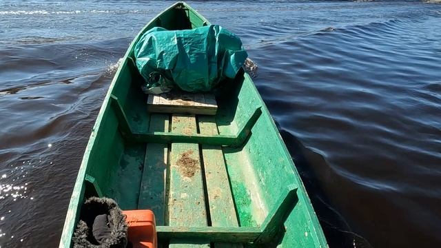 Ранняя весна 2025г #1 Охота до охотизбушки