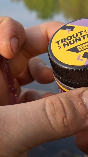 TROUT HUNTER IAM Company #природа #рыбалка #fishing смотреть онлайн