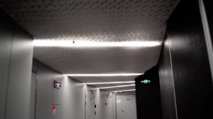 Вариант оформления низких потолков в офисе