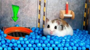 Умнейший Хомячок сбегает из лабиринтов приключений Звёздных войн! Приключения Хомячка Хомы для детей
