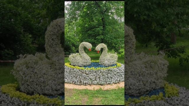 Флора-2024 г. Омск смотреть онлайн