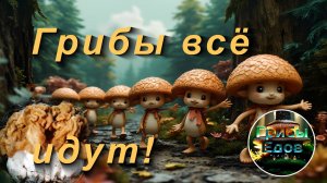 Сезон строчков продолжается. 14 мая 2025 года