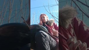 Звук Фимбо на природе