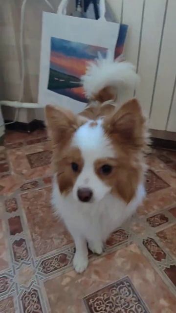 счастье есть смотреть онлайн