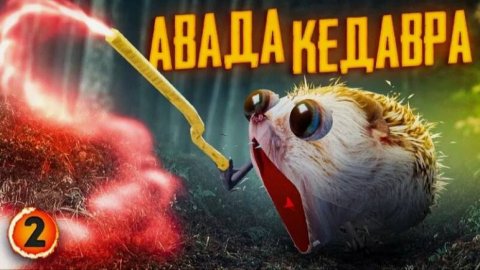 Хренобус и волшебное шарага | Блоп топ