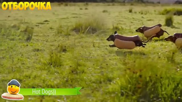 ЛУЧШИЕ ПРИКОЛЫ смотреть онлайн