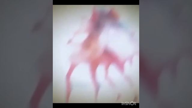 итальянские мемы чоооооооо смотреть онлайн