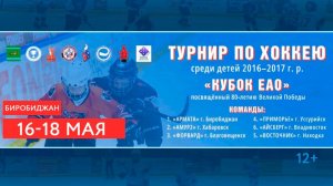 Прямая трансляция с турнира по хоккею "Кубок ЕАО" среди детей 2016 - 2017 (г. Биробиджан, 16-18 мая)
