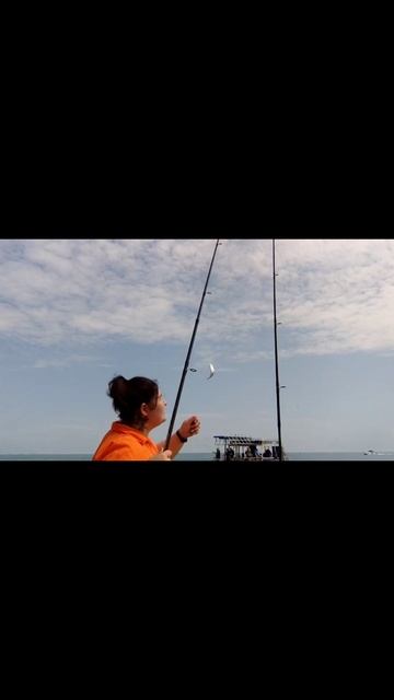 рыбалка в Адлере смотреть онлайн