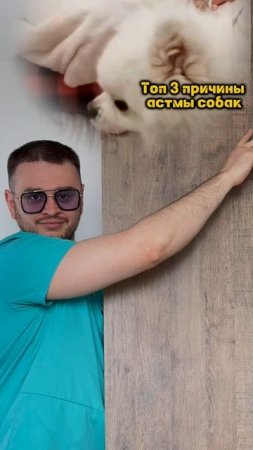 Топ 3 причины астмы собак 🦮