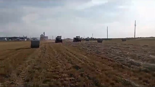 Рулонный пресс-подборщик IMPRESS 3130 F MASTER смотреть онлайн