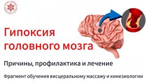 Гипоксия головного мозга. Причины, профилактика и лечение. Фрагмент обучения