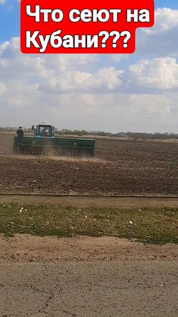 Что сеют на Кубани 2023г. смотреть онлайн