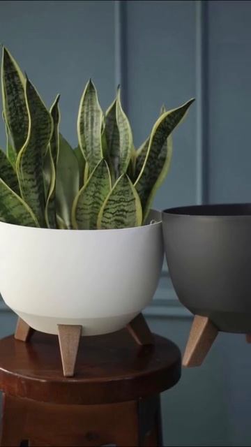 Новое поступление кашпо «РОМА» #сад #огород #цветы смотреть онлайн