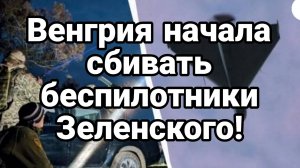 МРИЯ⚡️ ТАМИР ШЕЙХ / ВЕНГРИЯ НАЧАЛА СБИВАТЬ УКРАИНСКИЕ БЕСПИЛОТНИКИ! Новости Сводки