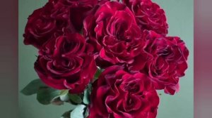 Туган Көнгә Изге теләкләр!С Днем рождения!Музыкальная