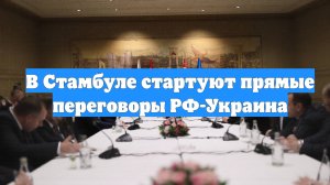 В Стамбуле стартуют прямые переговоры РФ-Украина