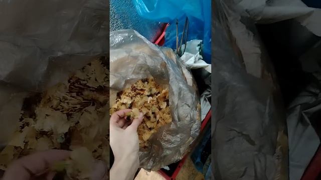 Холодильник для рассады своими руками)