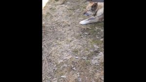 21 апреля День Ледолом