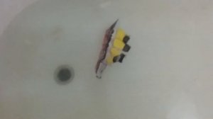 Бумажный титаник не хотел тонуть но утонул