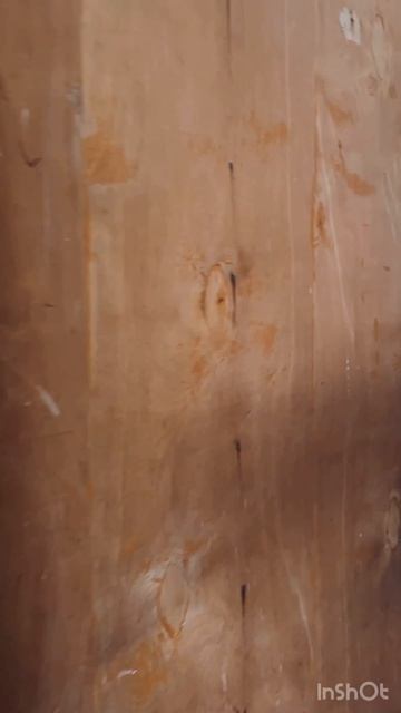 video-output-2D934237-2C19-42E4-AD18-0A14C2AA107B-1