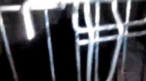 ПРИРОДУ НЕ ОБМАНЕШЬ_ котята манчкин какую еду предпочтут_ КОТ ЖАДИНА