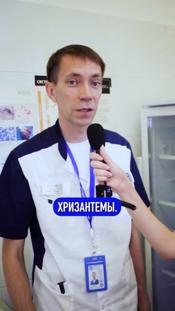 Какие растения опасны для животных? смотреть онлайн