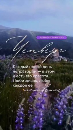 Доброе утро. Четверг.