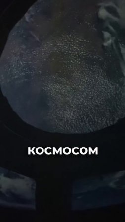 Вы изучаете то, что интересно партнёру?