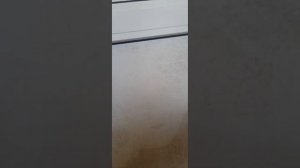 Отбеливаем пластиковые двери от черного налета