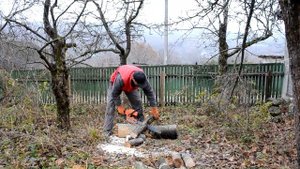 Бензопила останавливается в резу