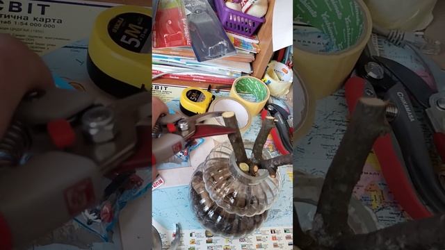 Тест секаторів Chikamasa/ ARS vs-8xz/ Okatsune 103 смотреть онлайн