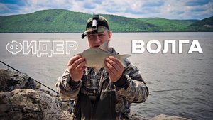 Рыбалка на Фидер. Река Волга, Самара, посёлок Красная Глинка. ЛесоБиржа