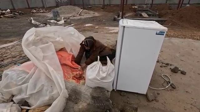 07.03.2025 Во время встречи с Азаде у Гадира была бесстыдная просьба о Тайебе. 🥺😞 смотреть онлайн