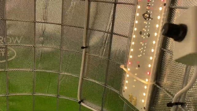 Growtube.ru. Гроубокс "Микро": 50 Вт на lm281Pro,  с угольным фильтром, таймером, термометром