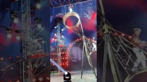 Цирк Демидовых | DEMIDOV SHOW