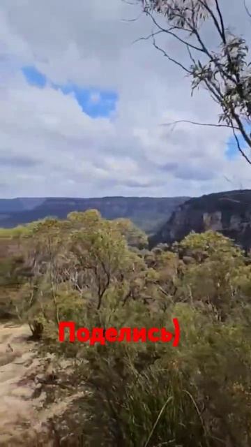 Поднимаясь вверх по лестнице,о чём нужно думать? смотреть онлайн