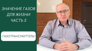 Значение газов для жизни. Часть.5. Газотрансмиттеры- сигнальные молекулы в нашем организме