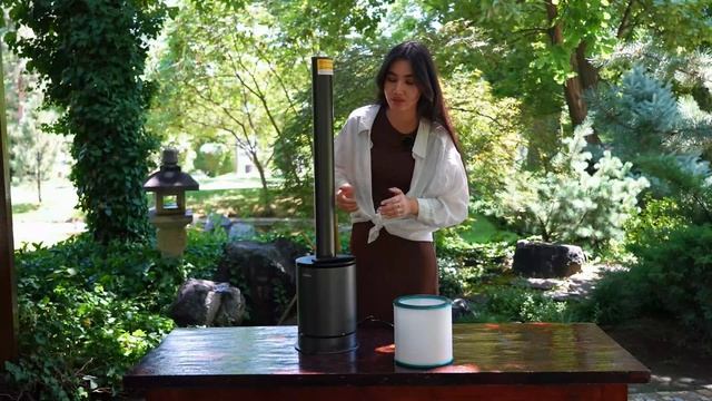 Очиститель и обогреватель воздуха | GIRA смотреть онлайн