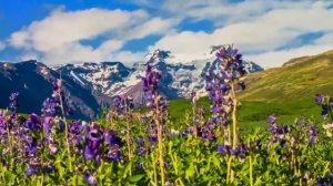 'Земля, я люблю тебя!'