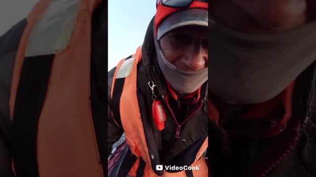 Крупная чехонь на р. Свирь