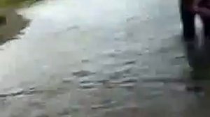 Юмор. Смешная деревня.