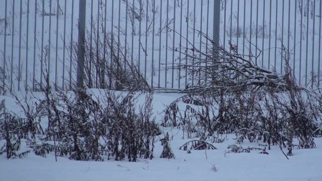 ЛЫЖНЫЙ ФЕСТИВАЛЬ Г Т О смотреть онлайн