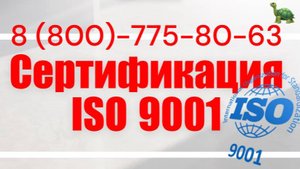 Сертификация ISO 9001. Оформить сертификат ИСО 9001