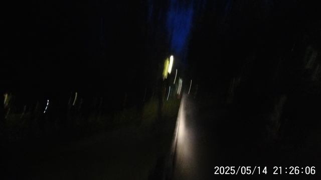 Выяснились детали изнасилования жителя Подмосковья обувной ложкой: потребовалась операция