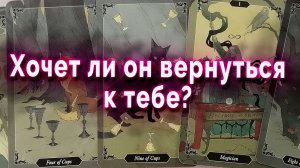 Запутался!  Хочет ли он вернуться к тебе? Таро